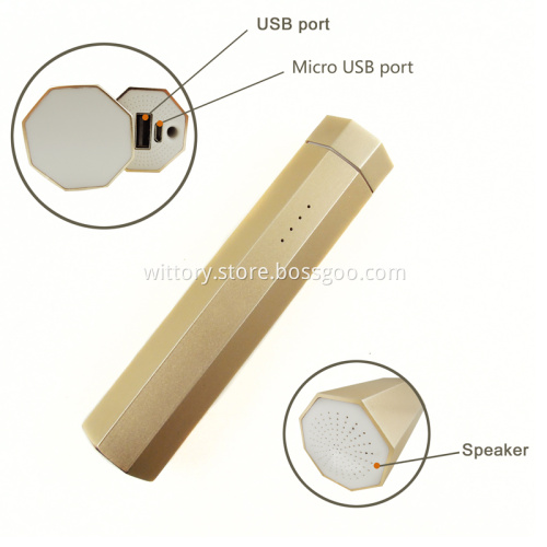 Power bank speaker phone charger